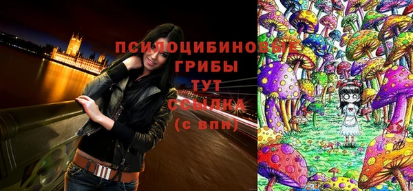 дмт Новокубанск