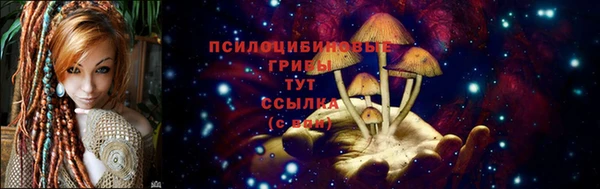 a pvp Нягань