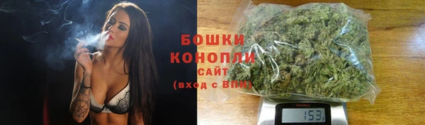дмт Новокубанск