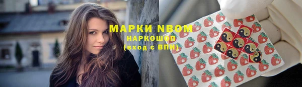дмт Новокубанск