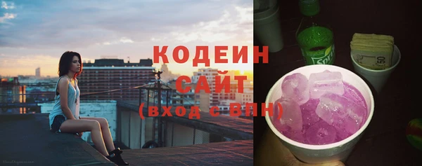 ПСИЛОЦИБИНОВЫЕ ГРИБЫ Новозыбков