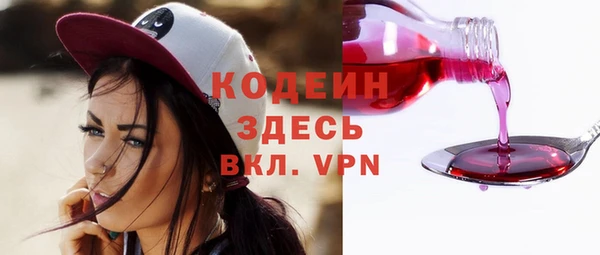 ПСИЛОЦИБИНОВЫЕ ГРИБЫ Новозыбков