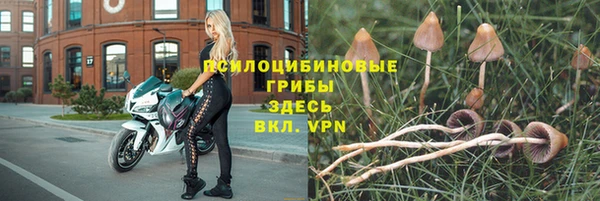 прущая мука Новодвинск