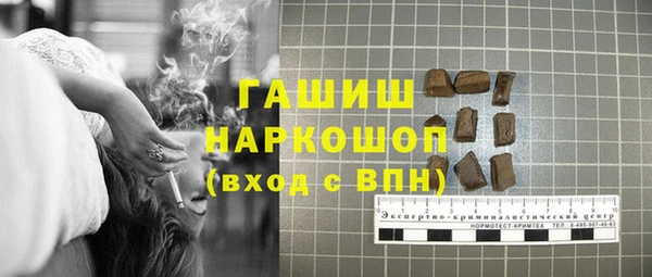 ПСИЛОЦИБИНОВЫЕ ГРИБЫ Новозыбков