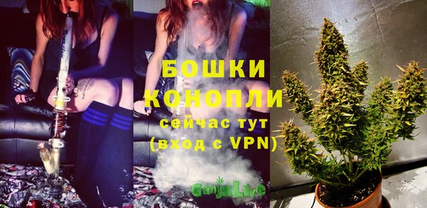 ПСИЛОЦИБИНОВЫЕ ГРИБЫ Новозыбков